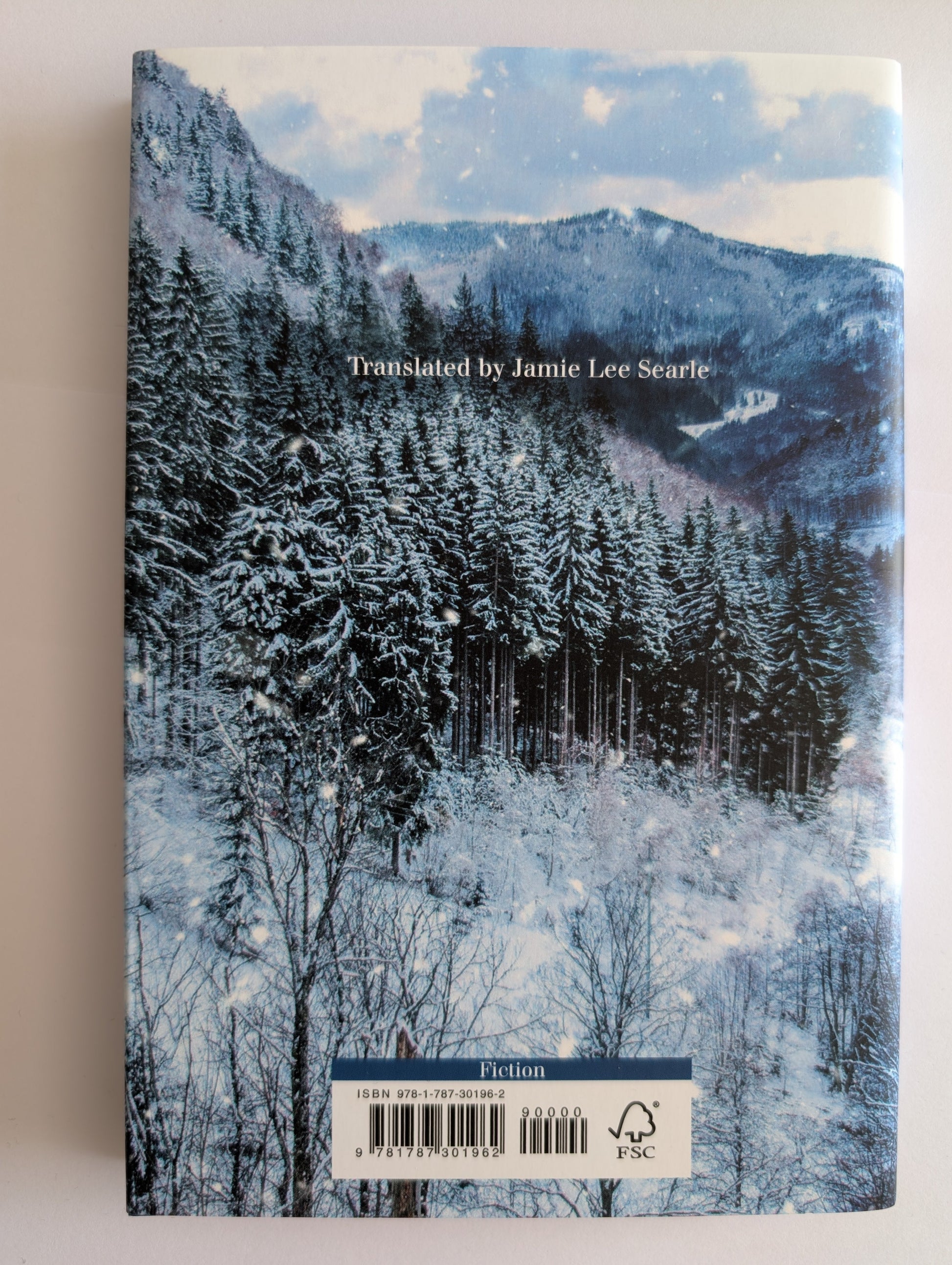 Book cover with winter scene and text on a white background
